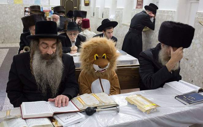 2.22.18 lent Purim_lion_in_Syna_3221317k.jpg
